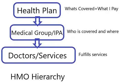 hmo hierarchy|Transfer of HMO (E.O. No. 192, s. 2015) .
